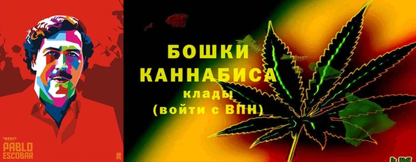 2c-b Вяземский
