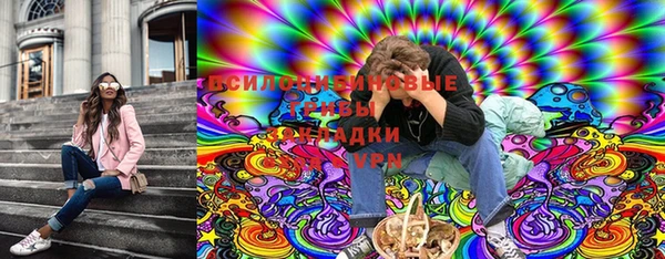 твердый Вязники